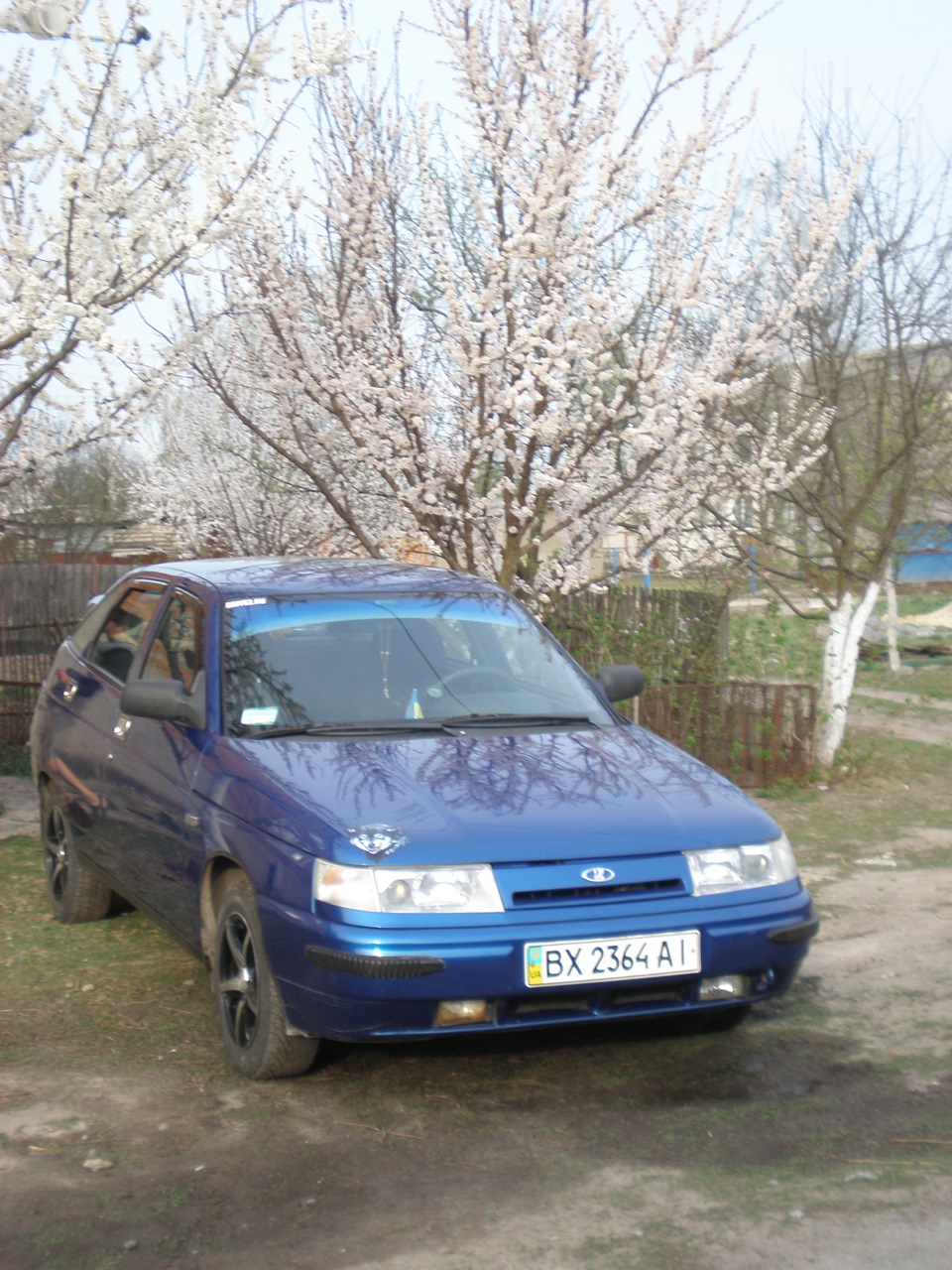 Символіка сайту на Двен@шке 5