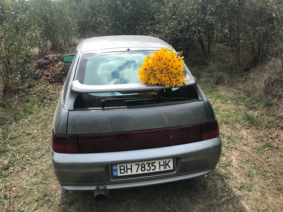 Великі вихідні і вперше на трасу! 1