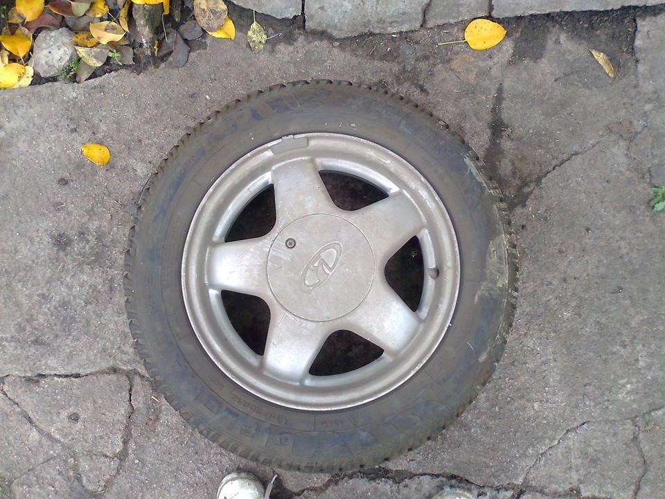 до зими готові 1