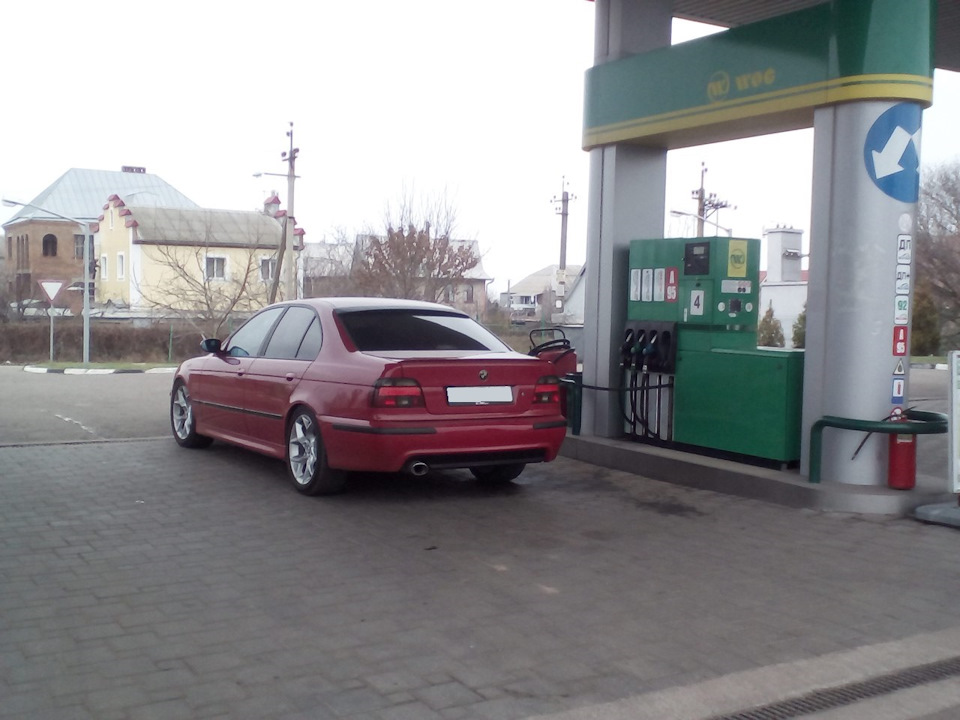 нове маля в сім'ї)) 2