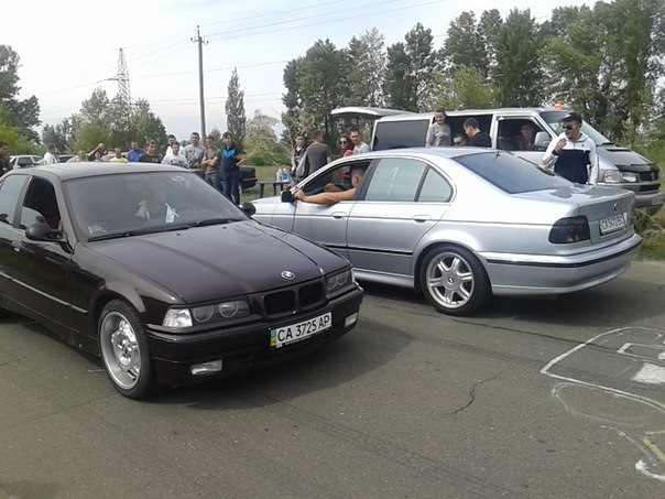 Покотушки 3