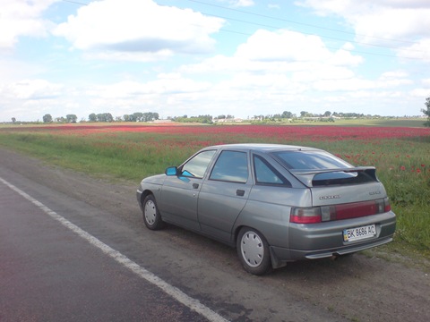 фото із життя 1