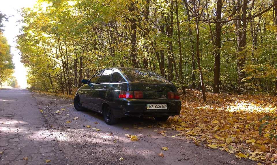 осінь!фото! 3