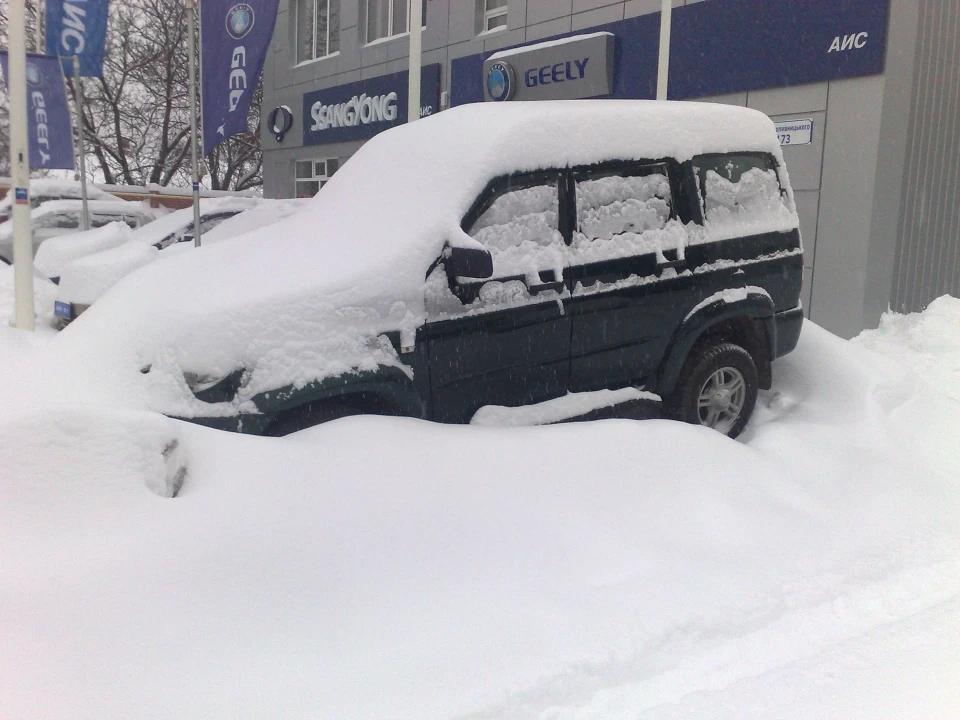 Замёрзли