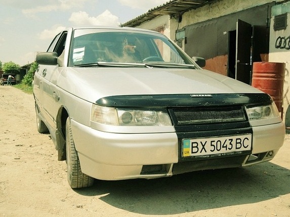 Нові фотки 1