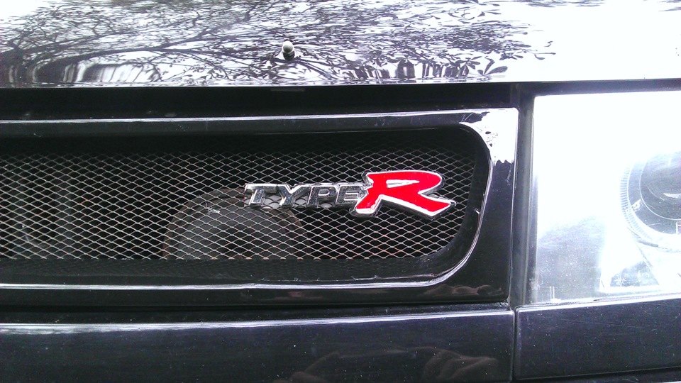 Шильдик TypeR на грати 2