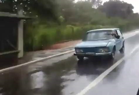 Двірник 1