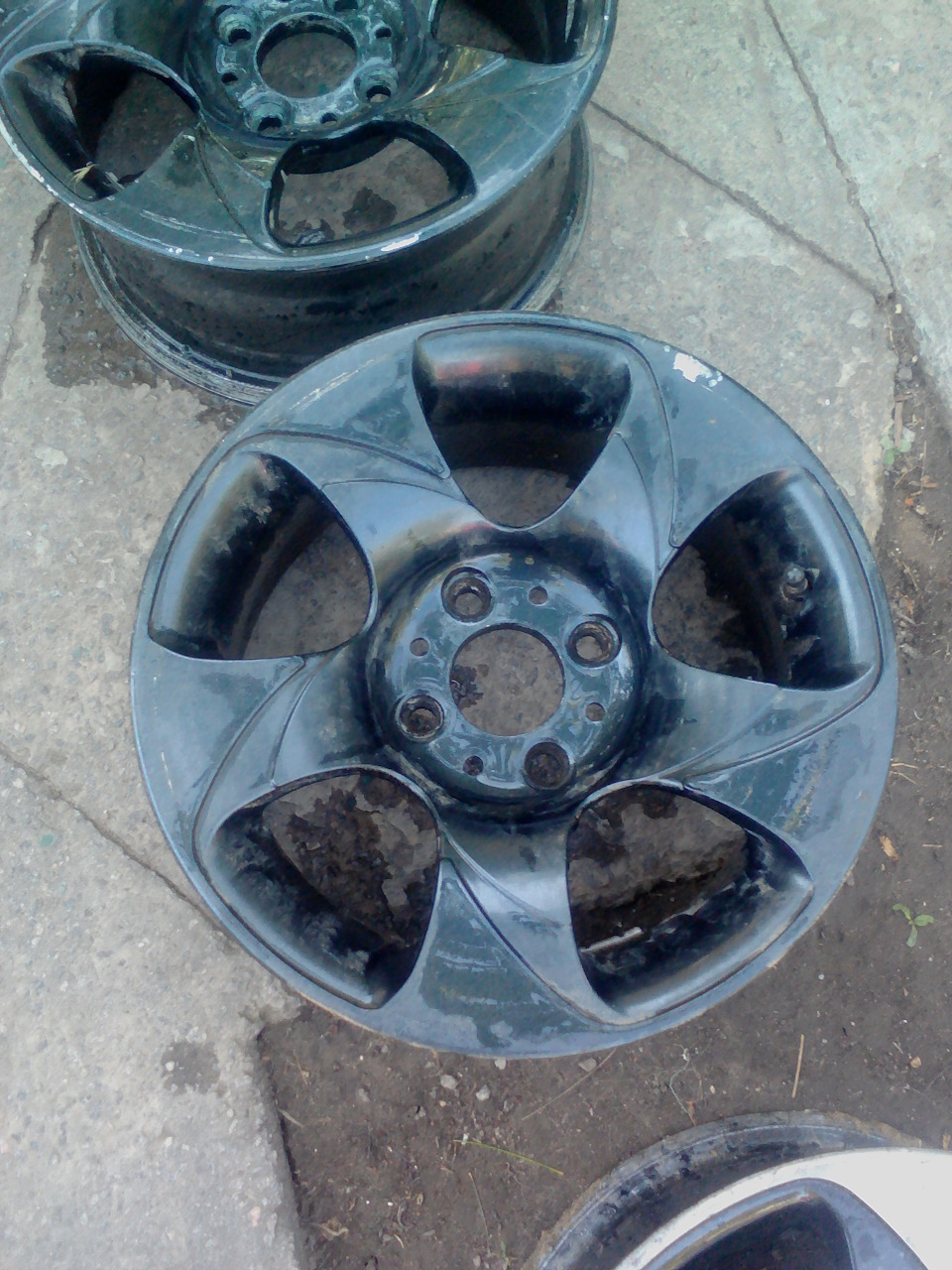 продаю кавуни 3