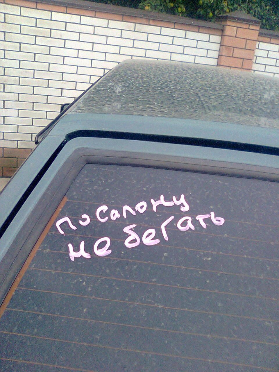 трохи гумору 1