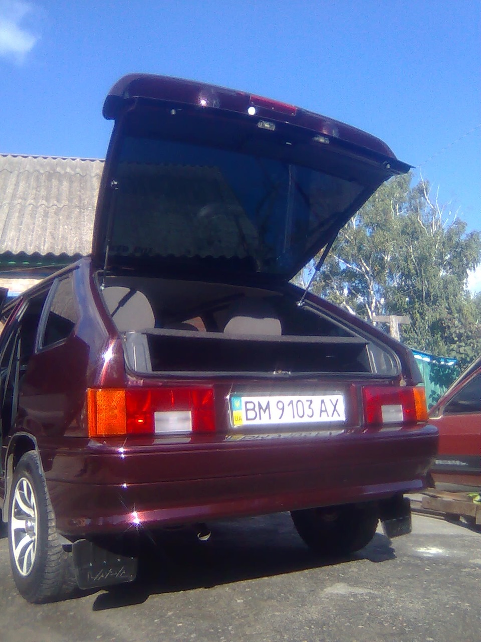 Фото ластівки. 2