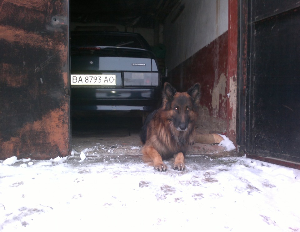 Зима... 4