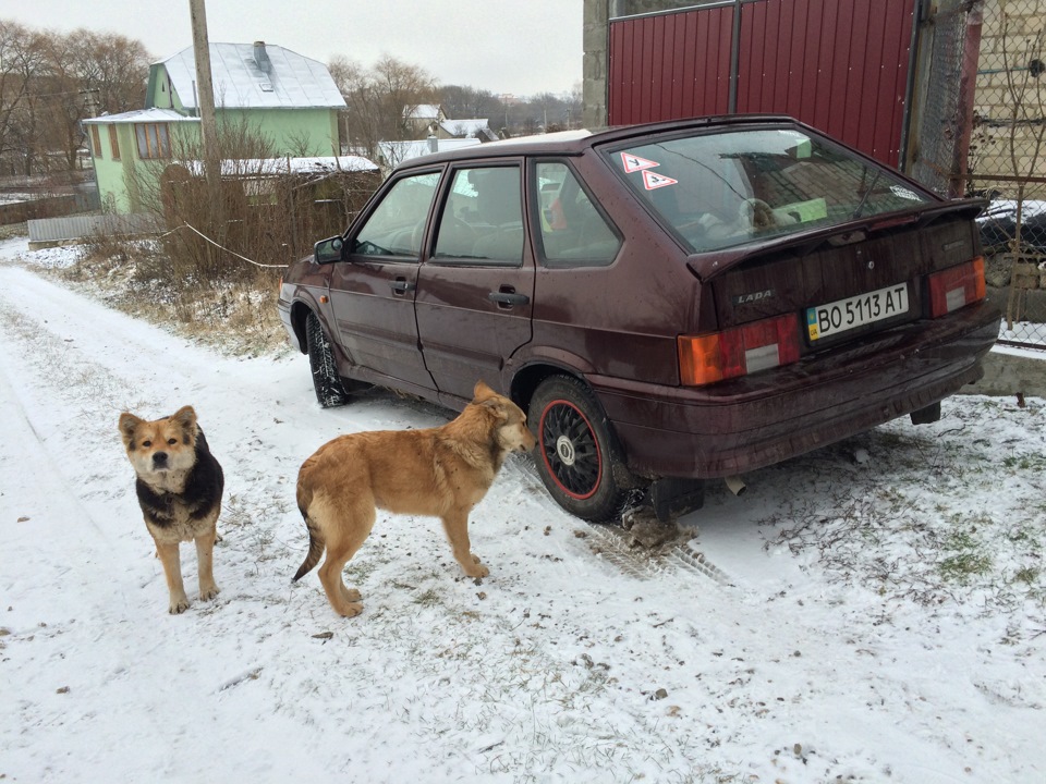 Зима, ювілейний ювілей) 3