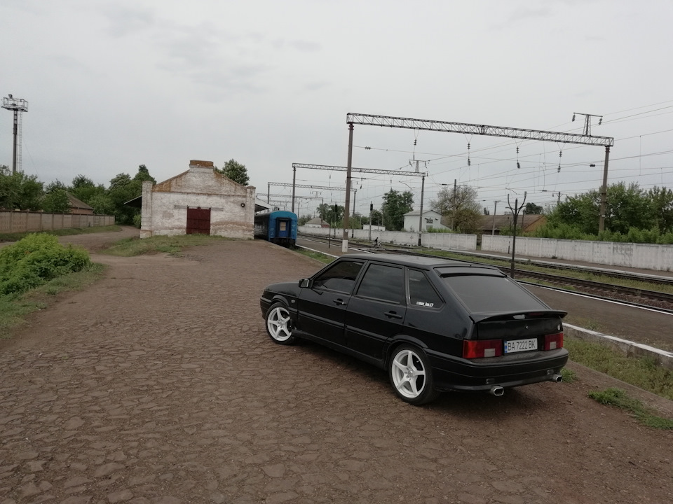 Котки в білий⚪ 3