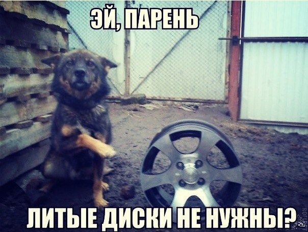 Продаю диски(((( 1