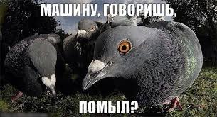 Хлопці, хто буде на Любаві цієї п'ятниці (16.05.2014)? 1