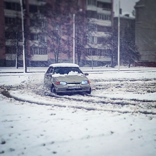 Перший сніг!) 2
