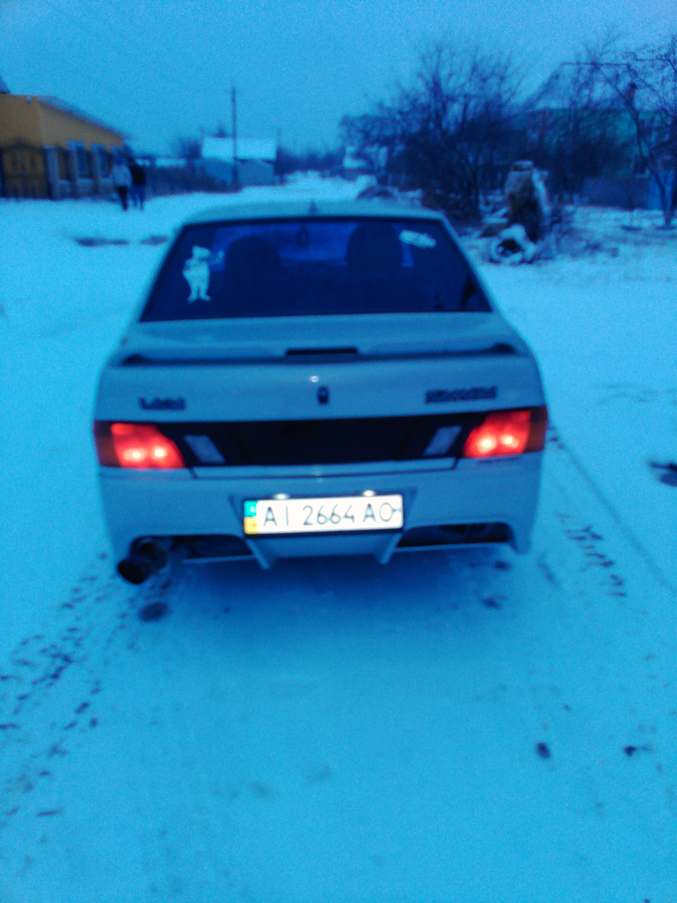 Трохи нових фотографій 5