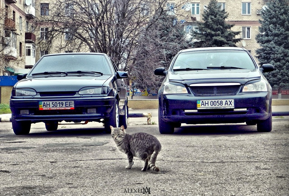 нова осіння красива фотографія… 1
