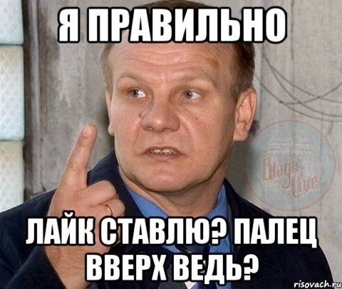 № 49 Вієрність 5