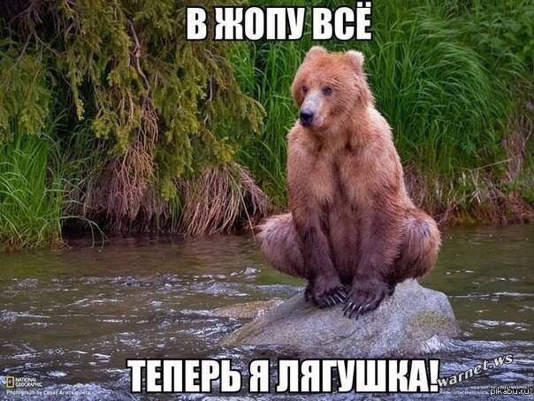 № 77 Вся справа в ЖАБІ))) (Р 0504) 1