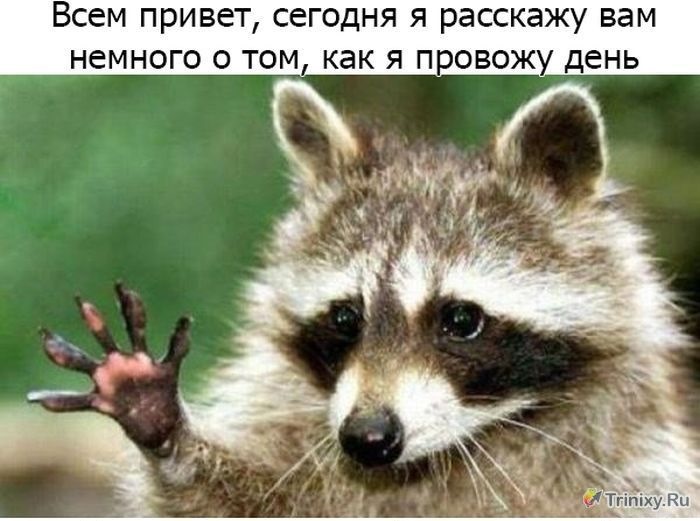 № 79 А 'ля INO)) 1