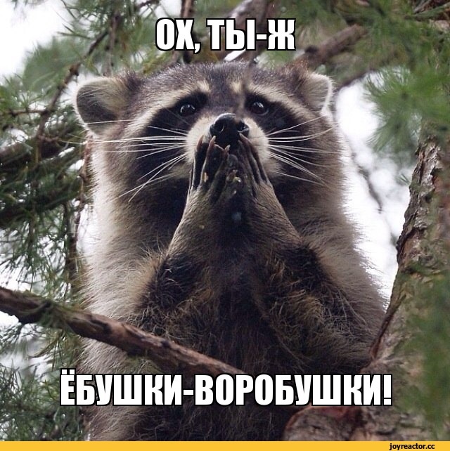 № 79 А 'ля INO)) 4