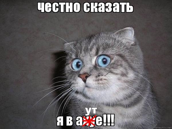 № 83 ٩(●●)۶ 2-х поверховий Задній хід. 5