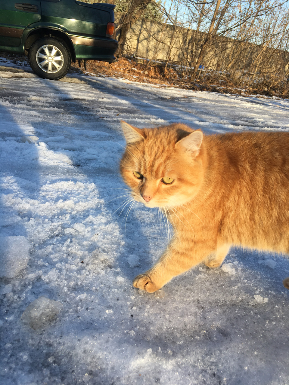 Зима❄️ 4