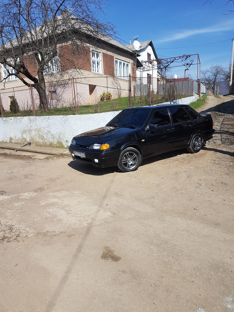 Качина лапка 1