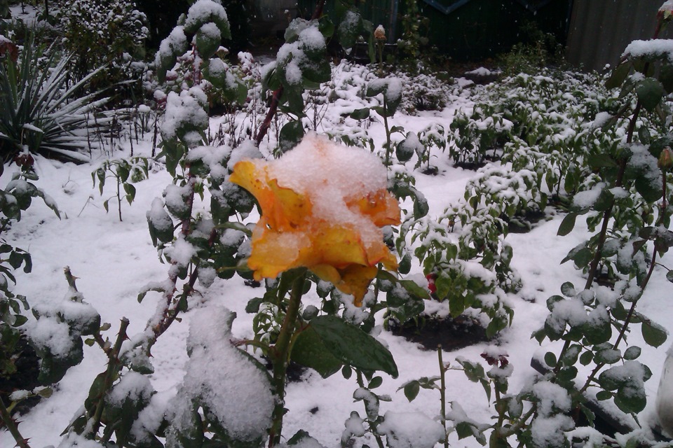 03.10.2013 Утречко)) 5
