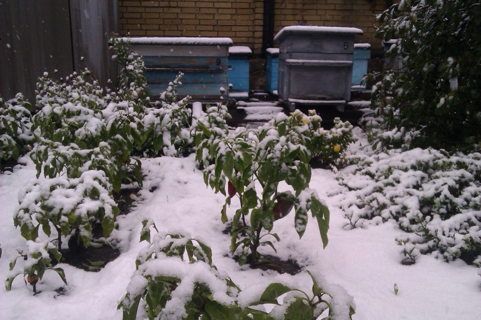 03.10.2013 Утречко)) 1