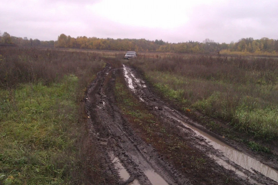 І знову за грибами) і трохи фото
