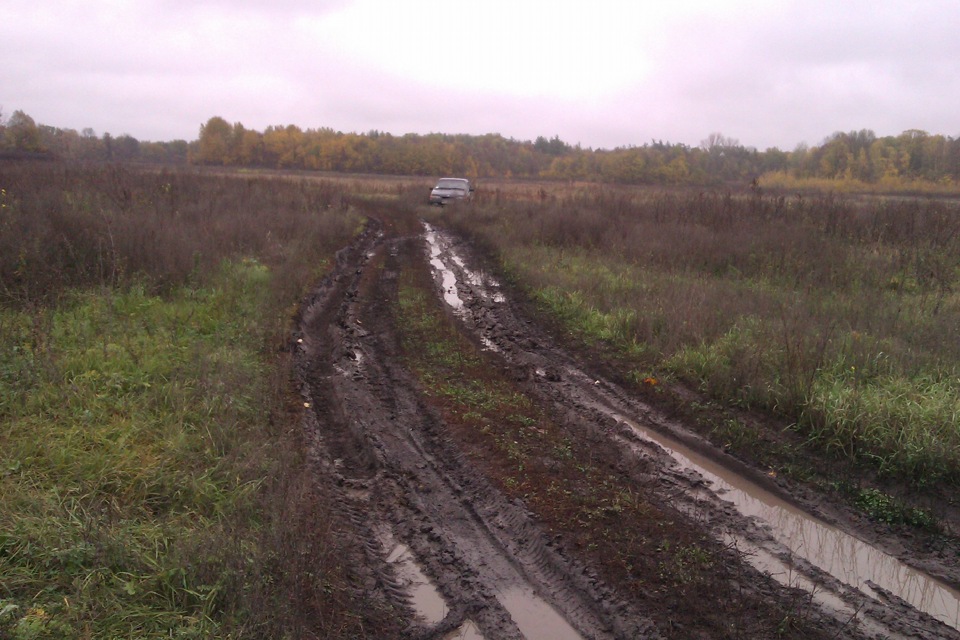 І знову за грибами) і трохи фото 1