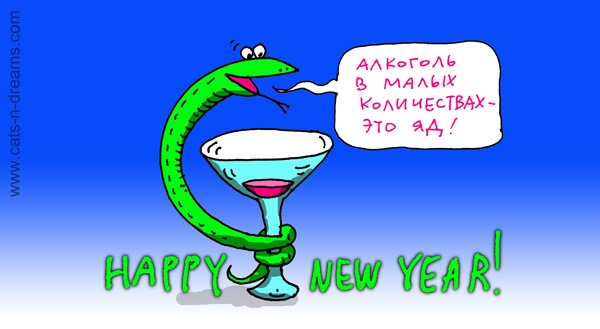 Хлопці вітаю всіх із наступаючим 2013 роком… 1