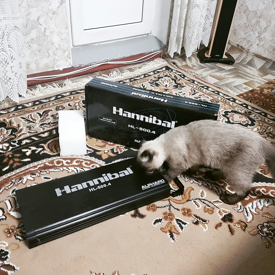 Підготовка до музики
