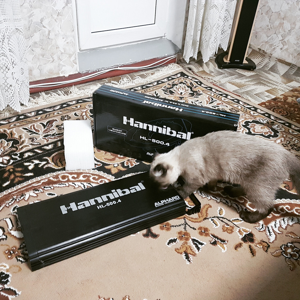 Підготовка до музики 1