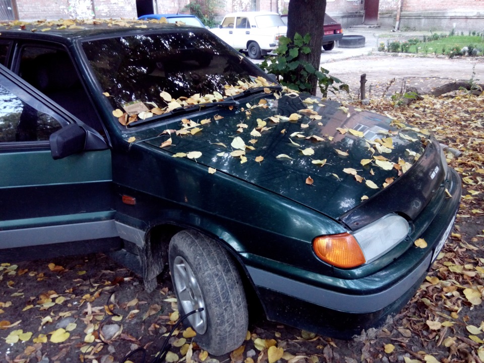Ранковий сюрприз. 1