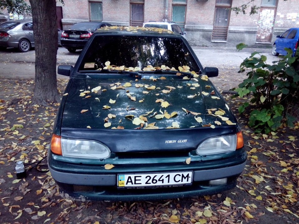 Ранковий сюрприз. 3