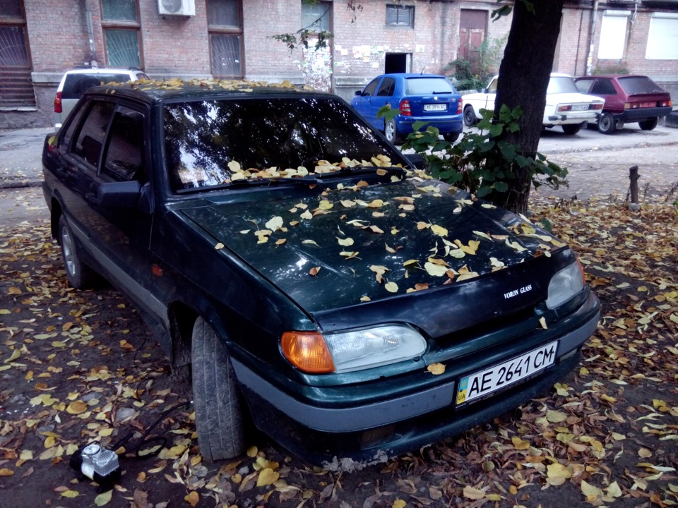 Ранковий сюрприз. 2