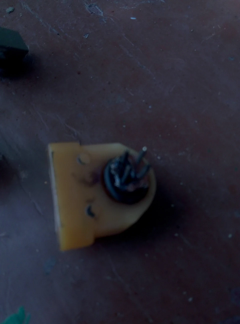 Бобік не здох!