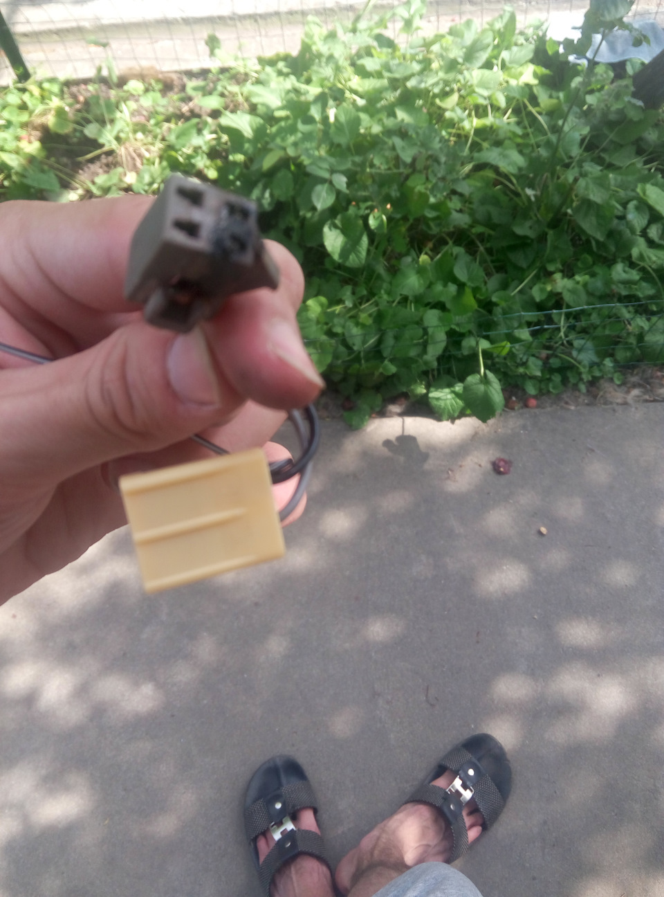 Бобік не здох! 2