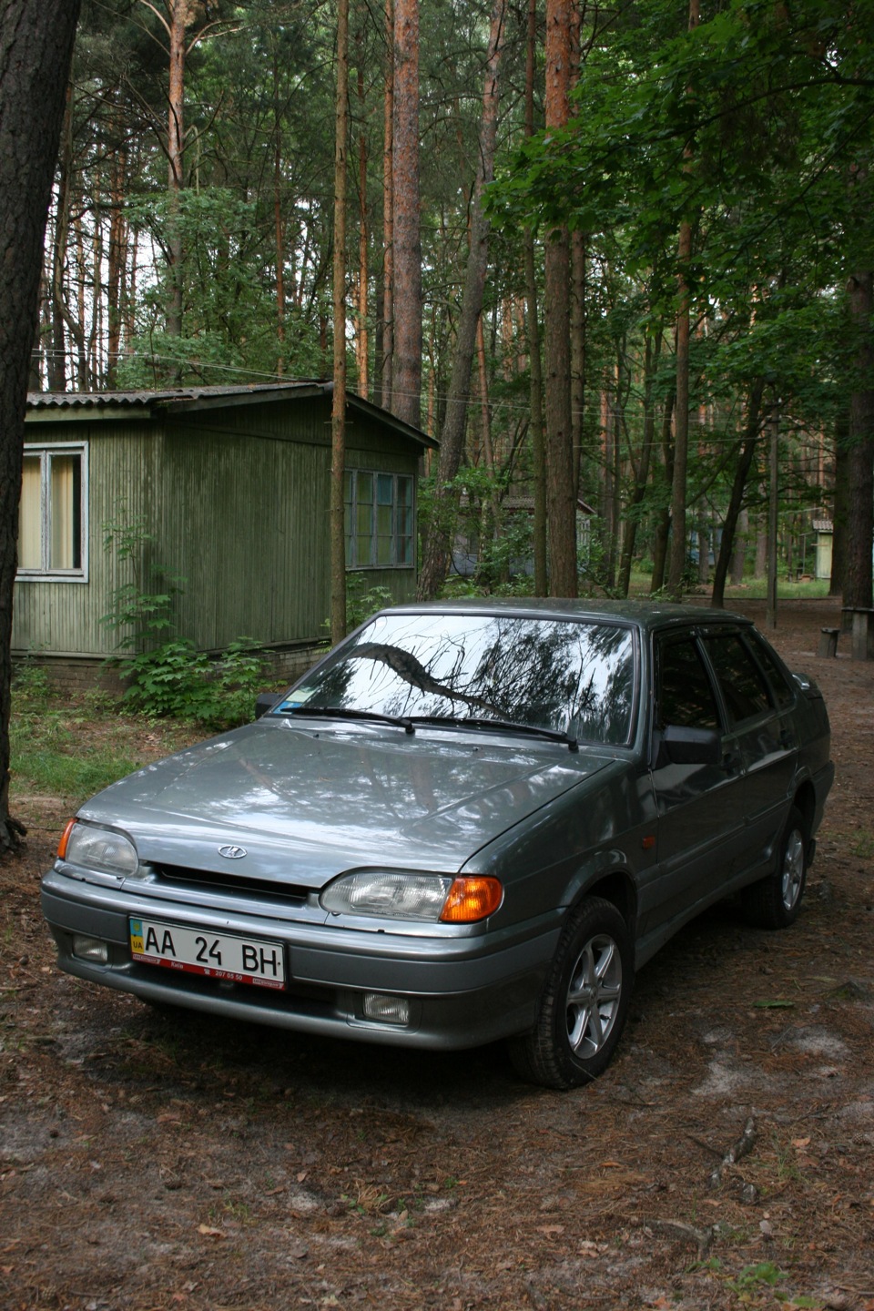 Відпочинок на турбазі у Чернігівській обл. Фото. 2