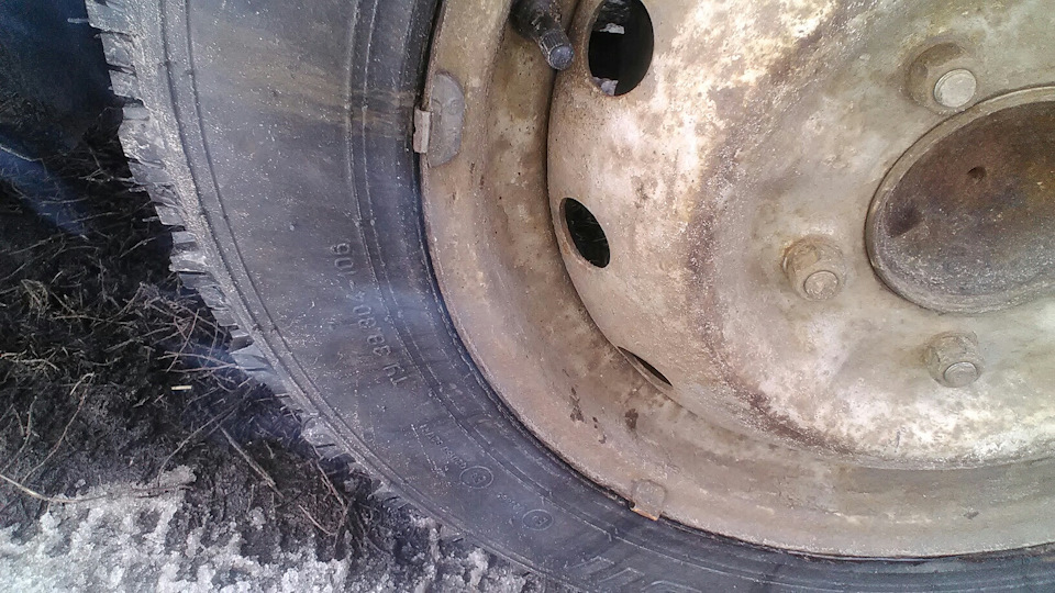 До мене прийшла зима. АШК Forward Arctic 511 175/80 R16 88Q (під шип) 4