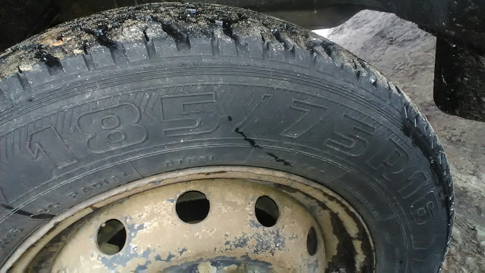 До мене прийшла зима. АШК Forward Arctic 511 175/80 R16 88Q (під шип) 5