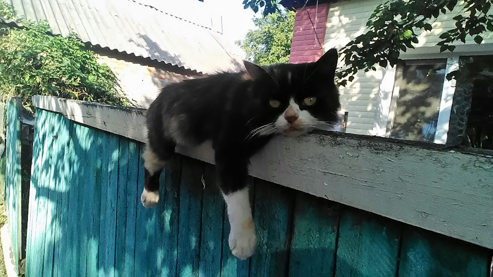 Про кермо. 1