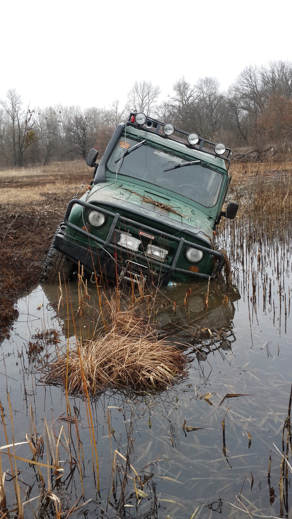 Улюбленець 5