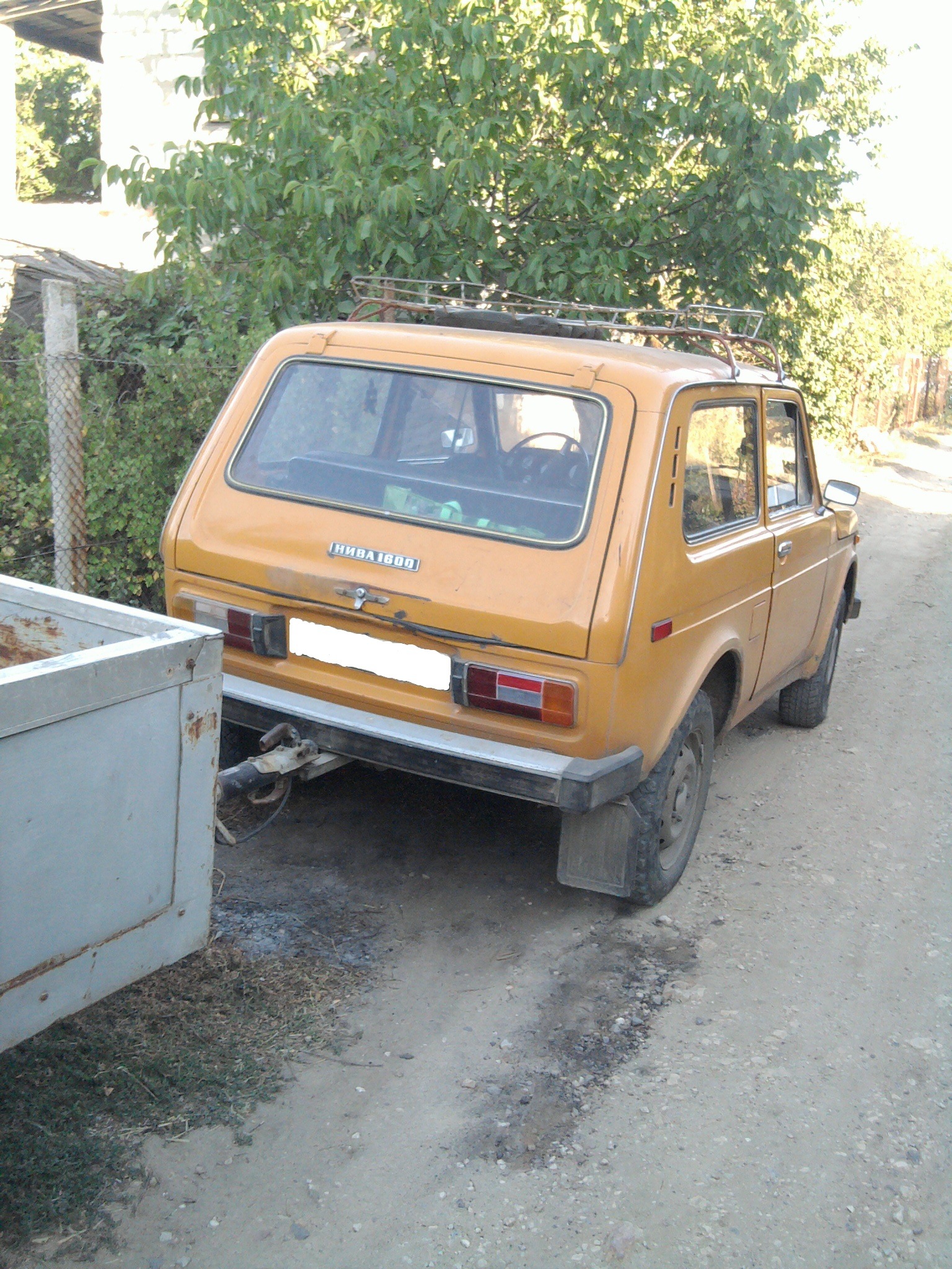 На дачі у Дениса (2) 5