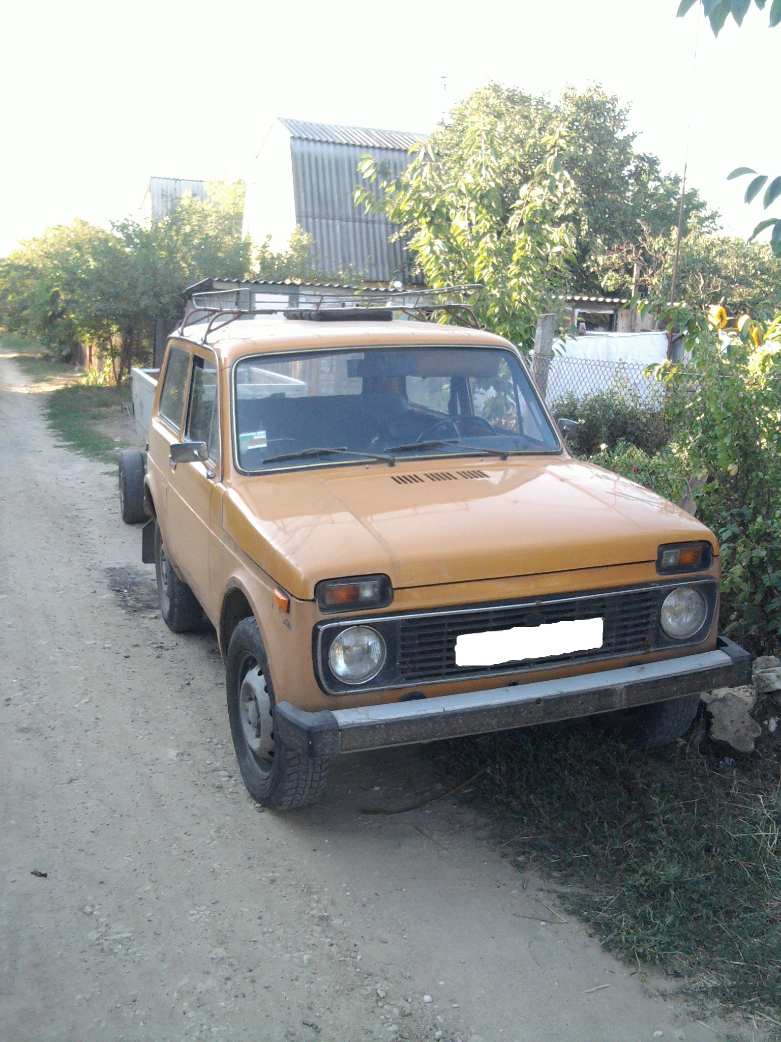 На дачі у Дениса (2) 3