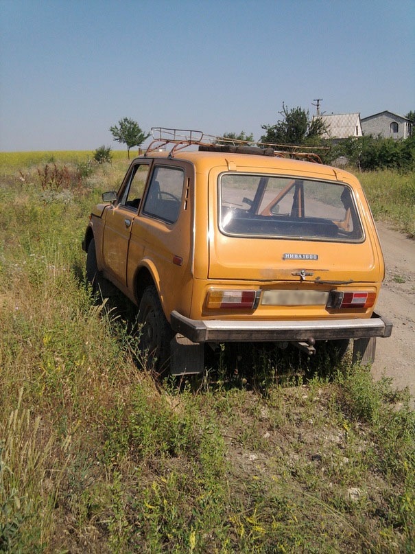 Покаталися ( 1 ) 4