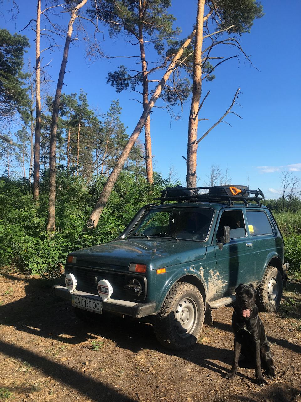 Найкращий відпочинок - природа 5